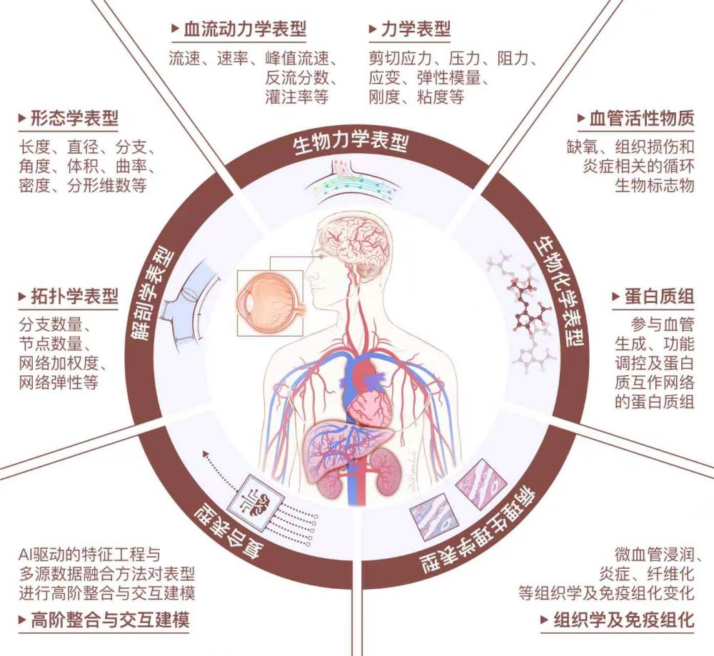 金沙国际官方网站