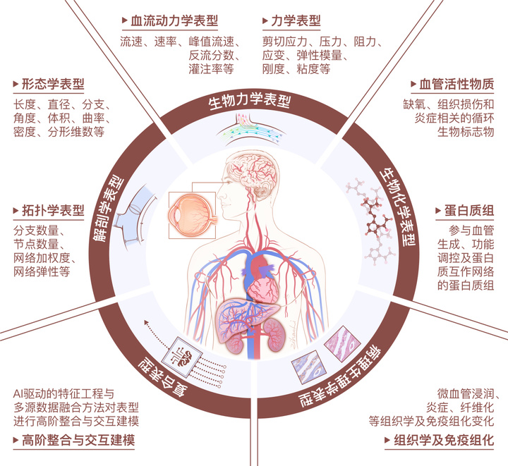 金沙国际官方网站