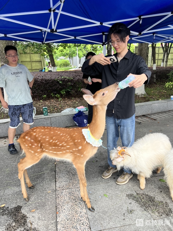 金沙国际官方网站