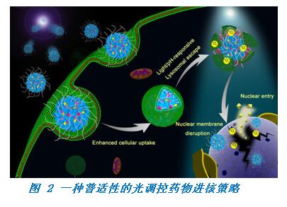 金沙国际官方网站