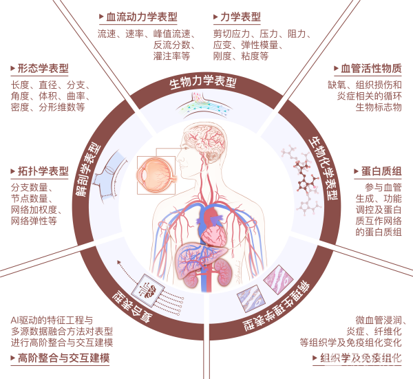 金沙国际官方网站
